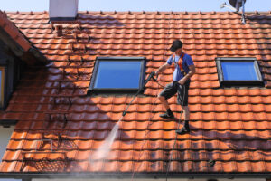 Roof and Gutter Cleaning