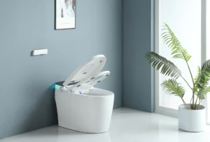 How Smart Toilet Seats Enhance Hygiene and Comfort