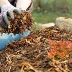 How To Identify a Trusted Mulch Delivery Company