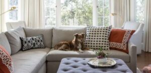 pet friendly sectional